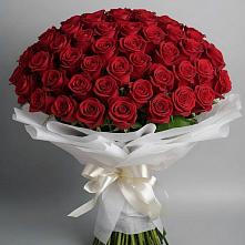 Букет 101 Красная роза Блэк Мэджик в Мечниково