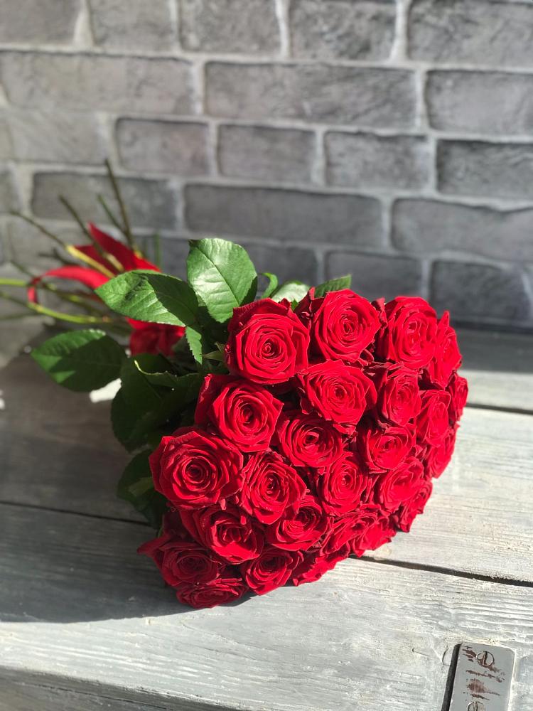 Букет Красные розы Фридом в Мечниково