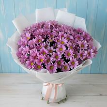 Букет цветов из:  Хризантемы в Мечниково