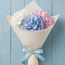 Букет цветов из:  Гортензия в Мечниково