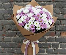 Букет цветов из:  Хризантемы в Мечниково