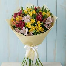 Букет цветов из:  Альстромерии #REPLACE_PRED# Мечниково
