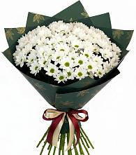 Букет цветов из:  Хризантемы #REPLACE_PRED# Мечниково