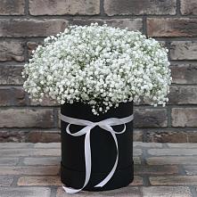 Цветочная композиция из Гипсофила в шляпной коробке в Мечниково