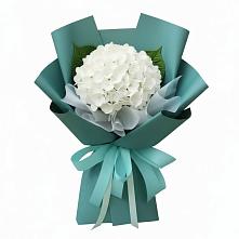 Букет цветов из:  Гортензия в Мечниково